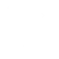 Website-Standard
